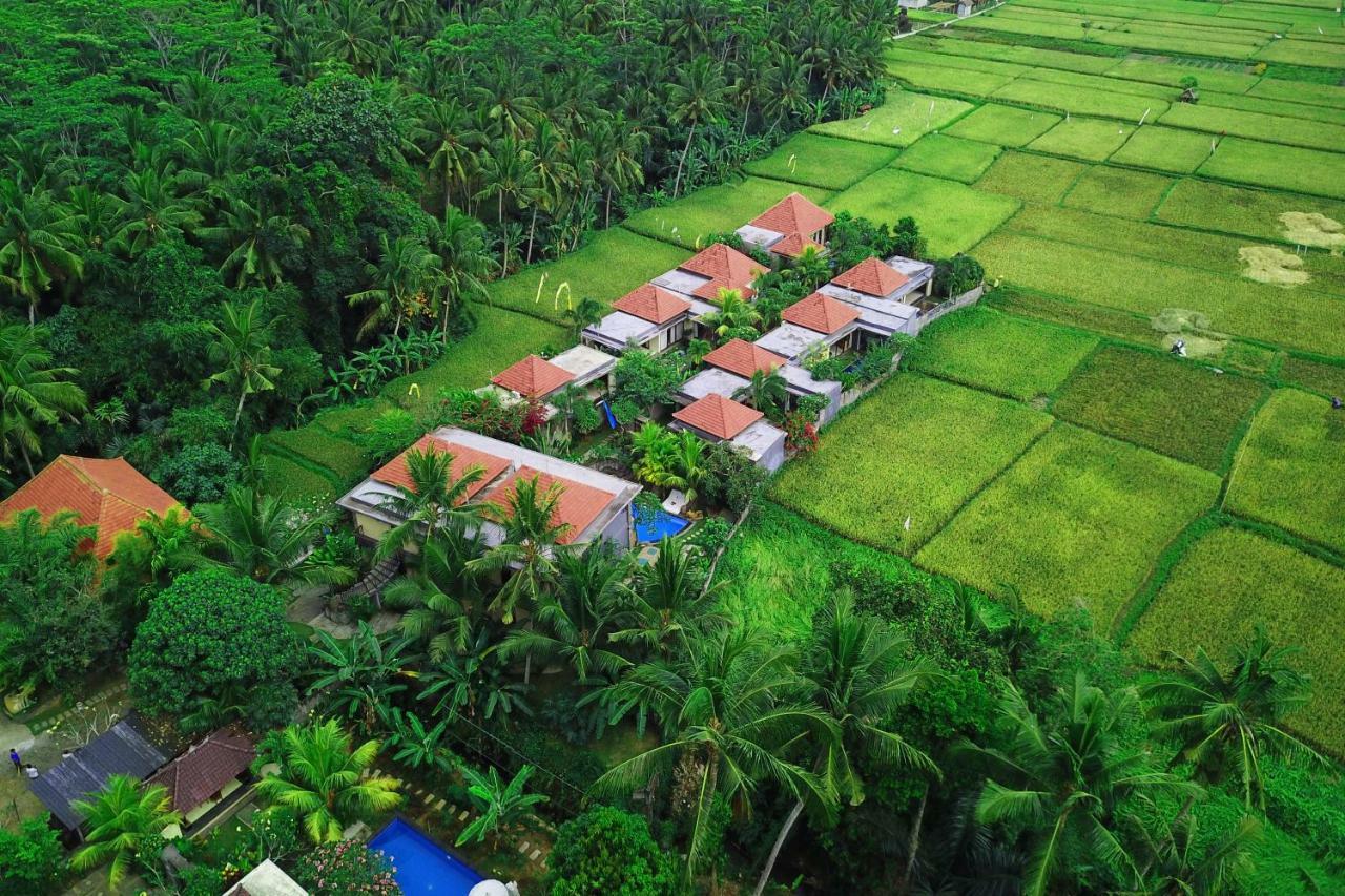 Asri Sari Ubud Villa & Resort المظهر الخارجي الصورة